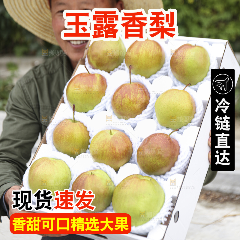 手里拿着玉露香梨