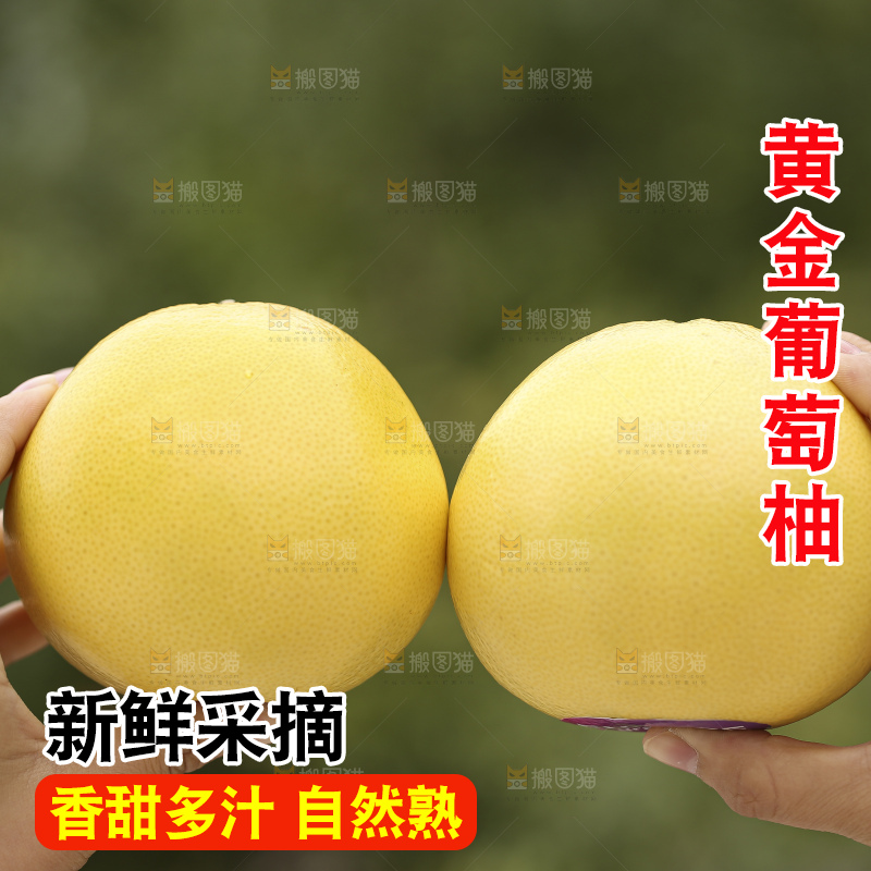 手里拿着黄金葡萄柚
