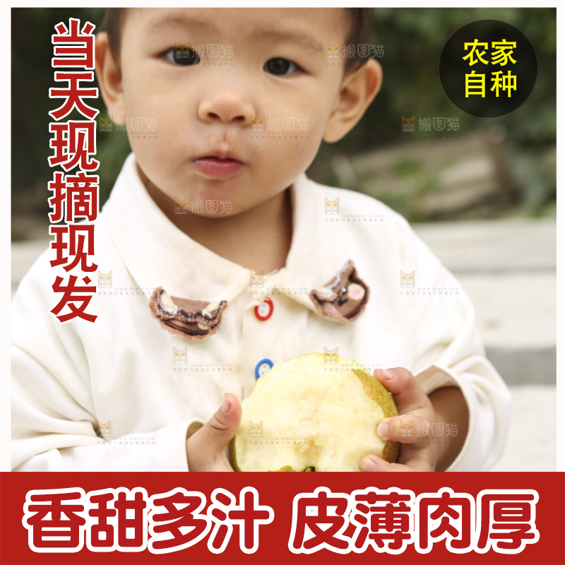 手里拿着玉露香梨