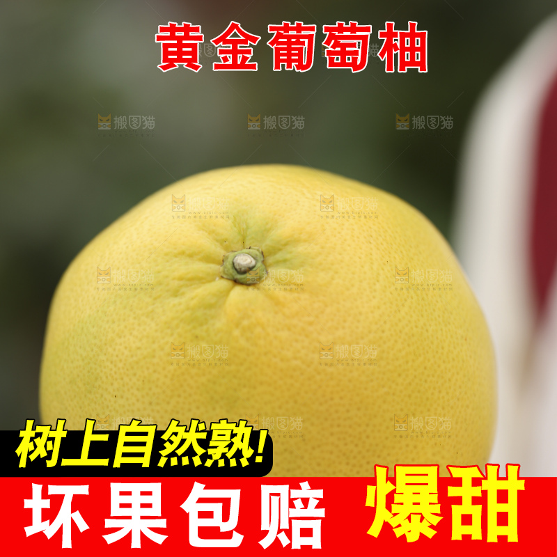 手里拿着黄金葡萄柚