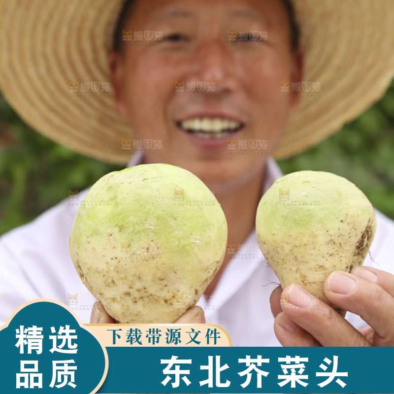 手里拿着大头芥菜