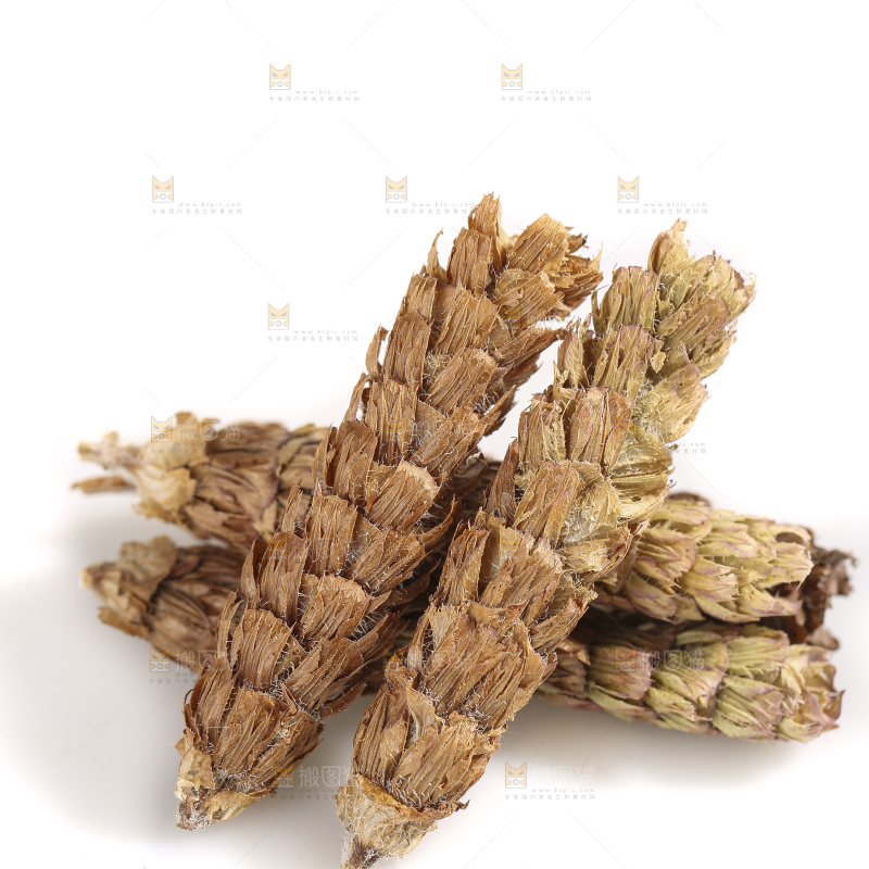 白底上放着夏枯草