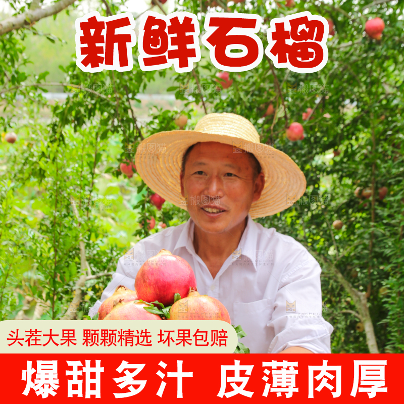 石榴产地