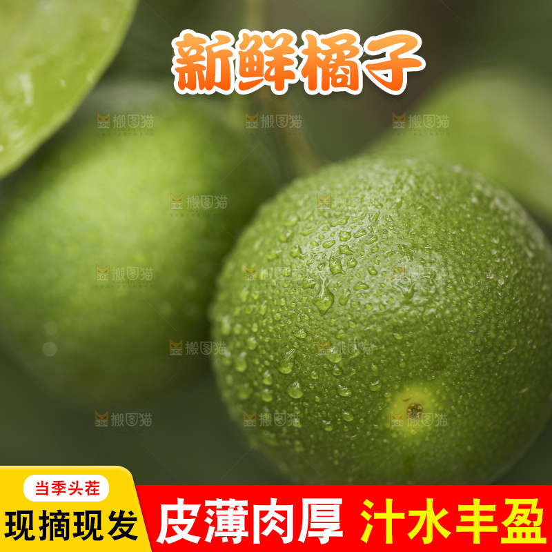 户外的青橘