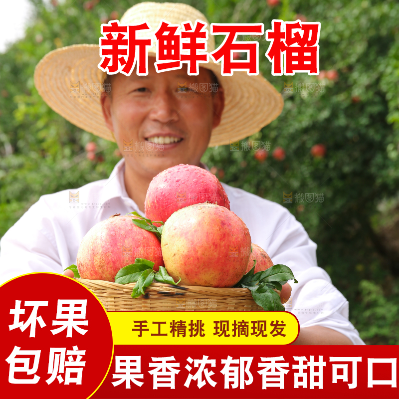 石榴产地