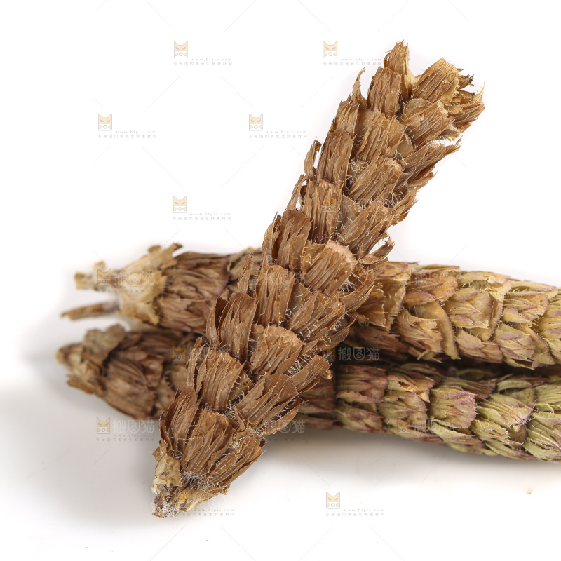 白底上放着夏枯草