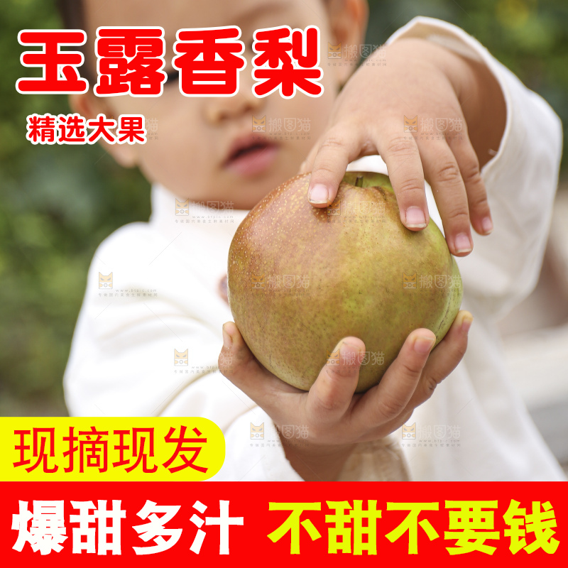 手里拿着玉露香梨