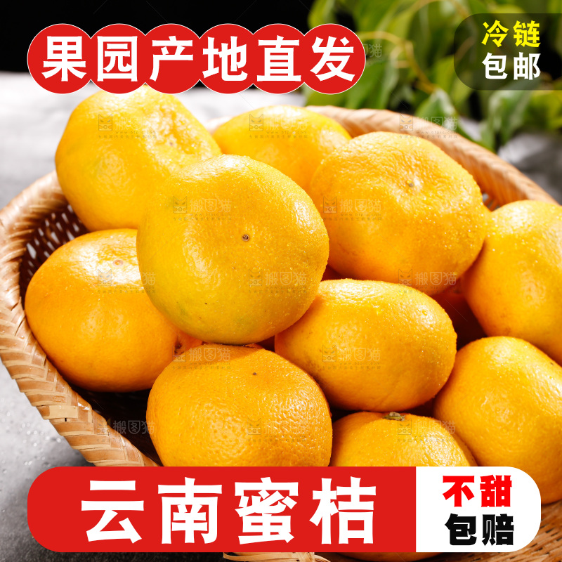 深底上的宜昌蜜桔