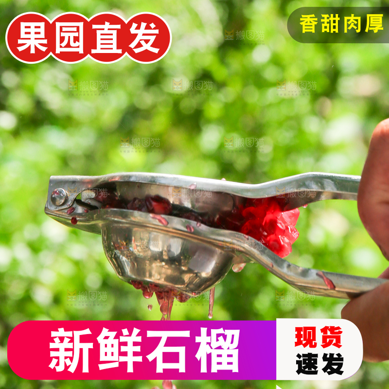 石榴产地