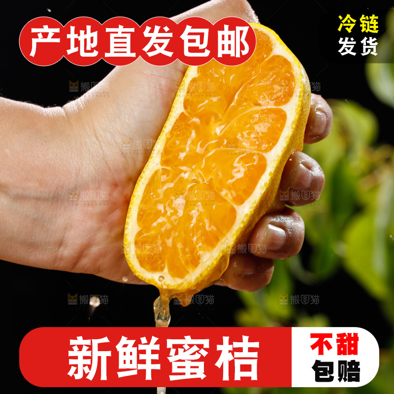 深底上的宜昌蜜桔