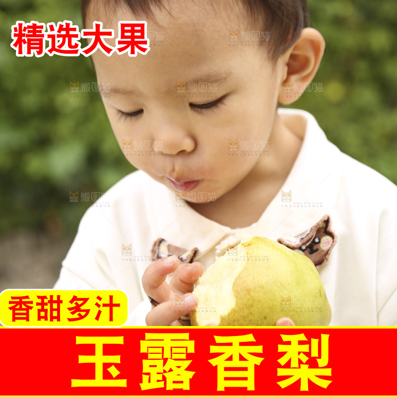 手里拿着玉露香梨