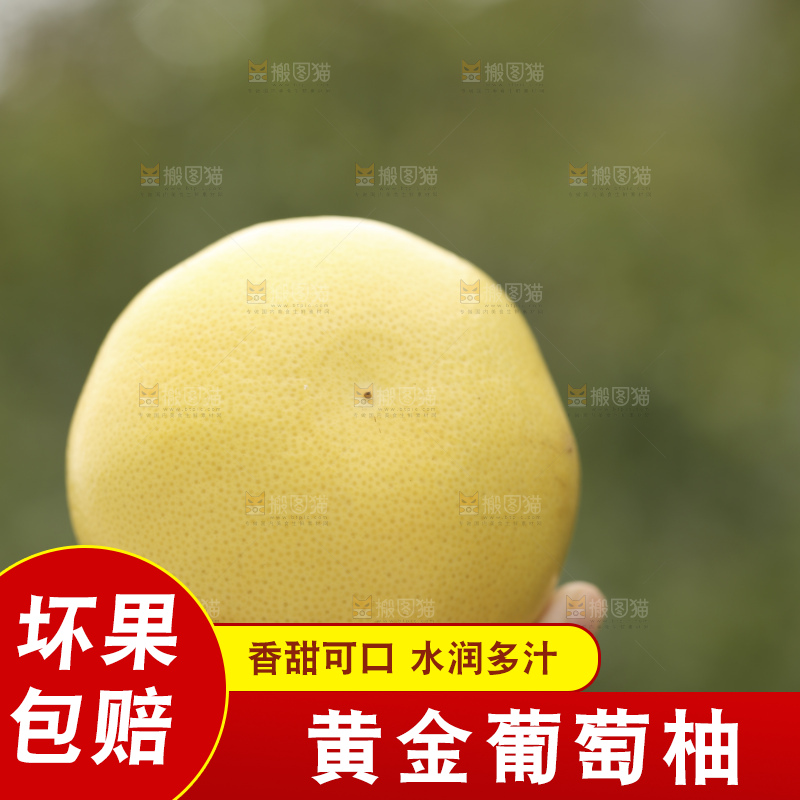 手里拿着黄金葡萄柚
