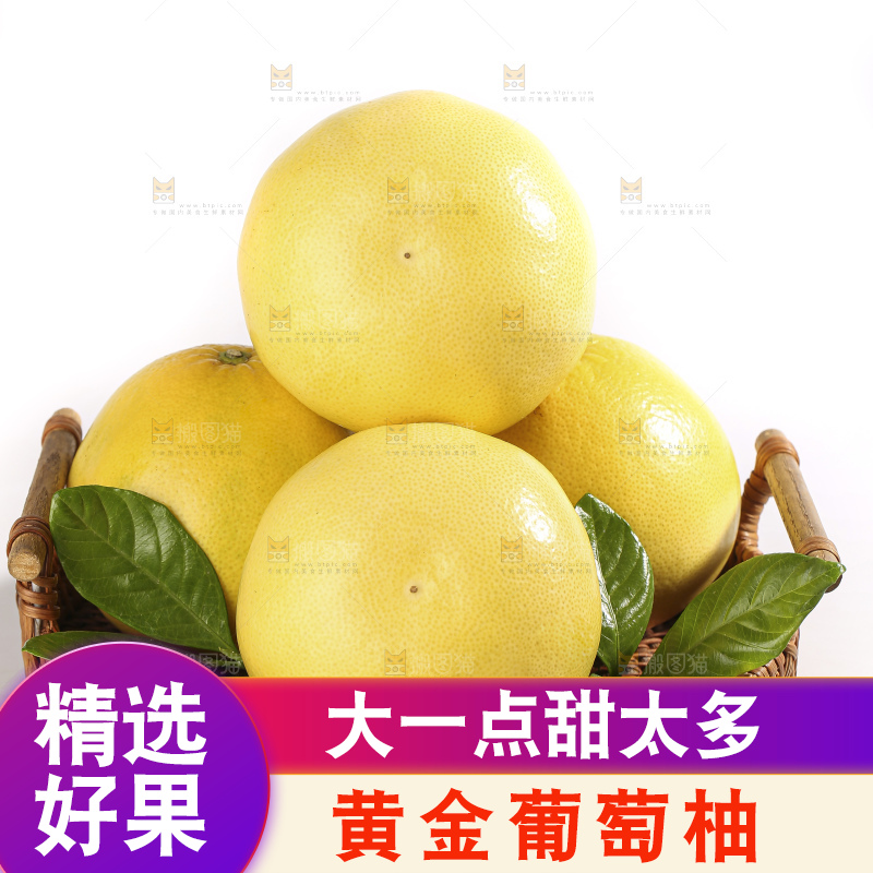 白底上的黄金葡萄柚
