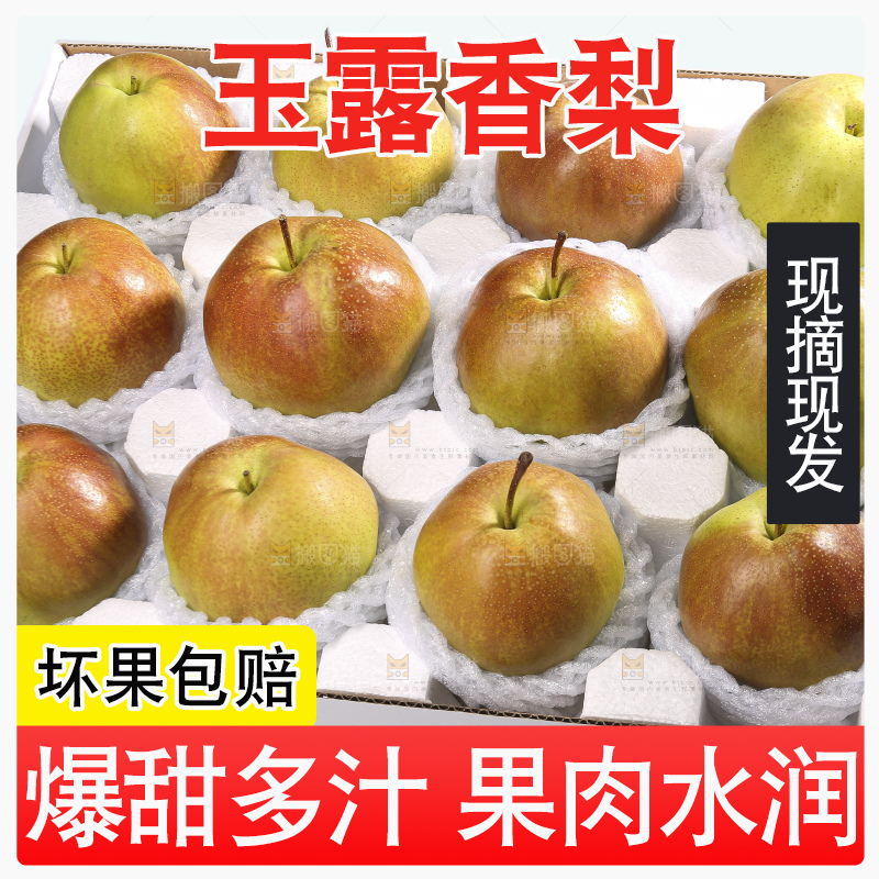 白底上的玉露香梨