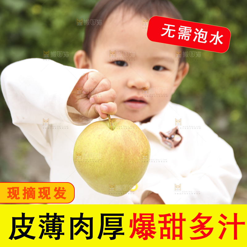手里拿着玉露香梨