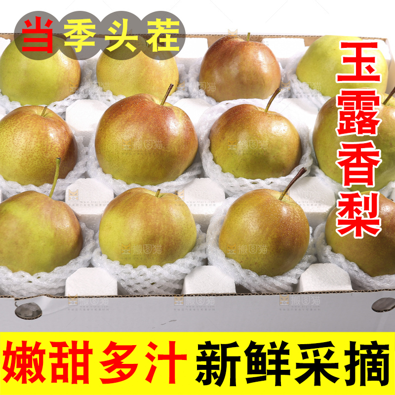 白底上的玉露香梨