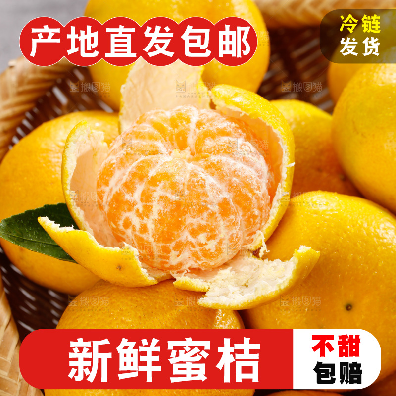 深底上的宜昌蜜桔