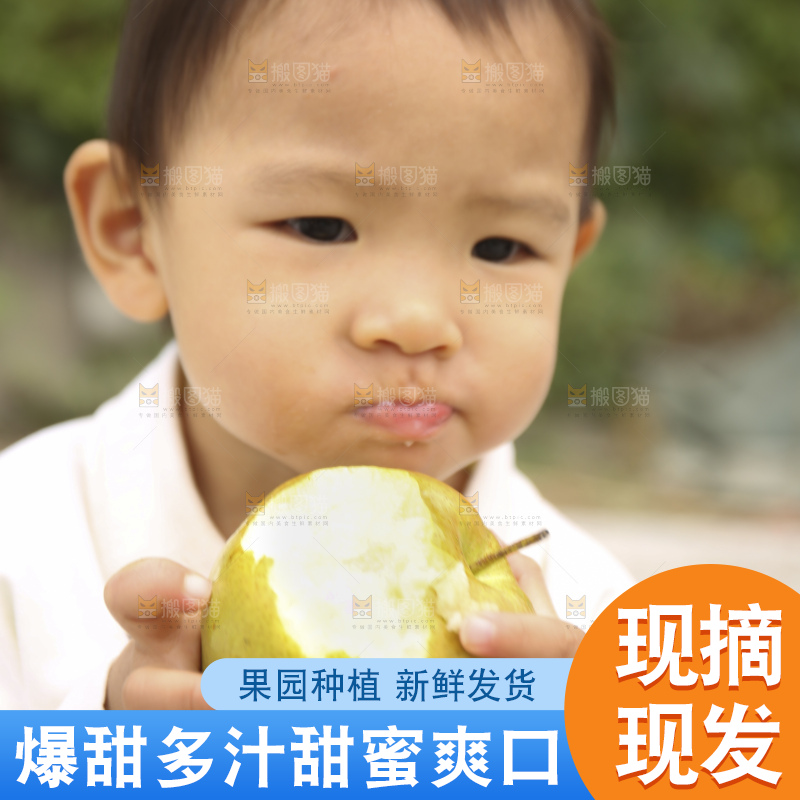 手里拿着玉露香梨