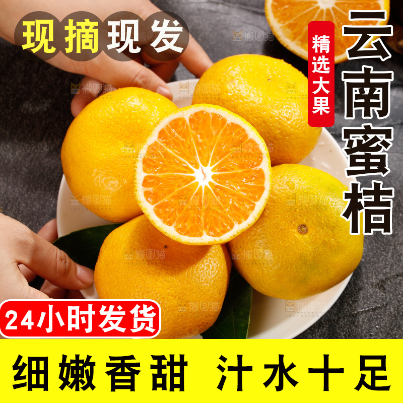 深底上的宜昌蜜桔