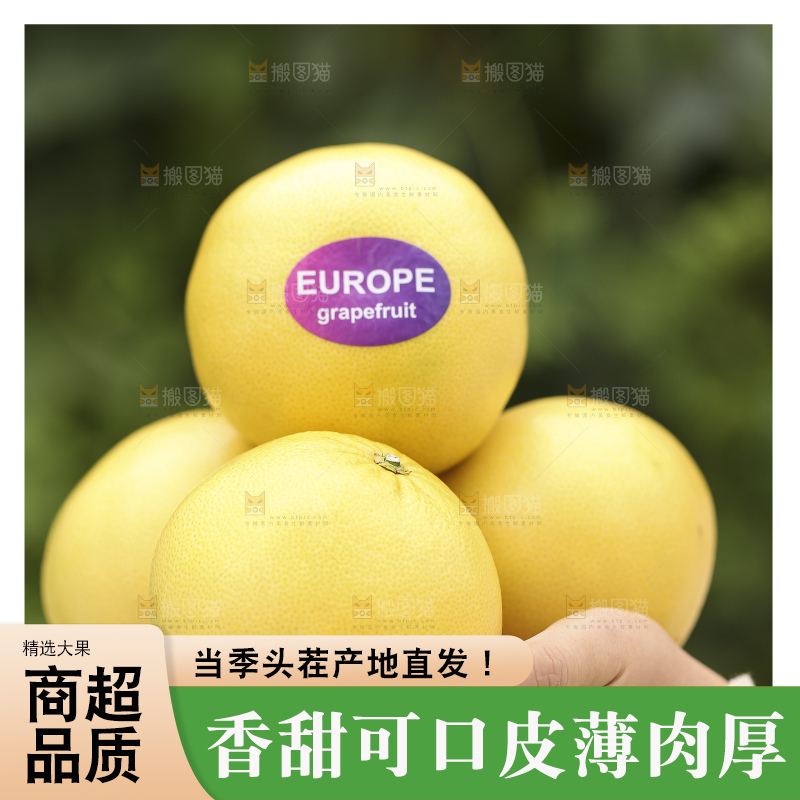 手里拿着黄金葡萄柚