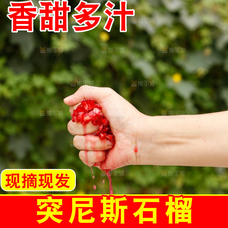 手里的突尼斯软籽石榴爆汁