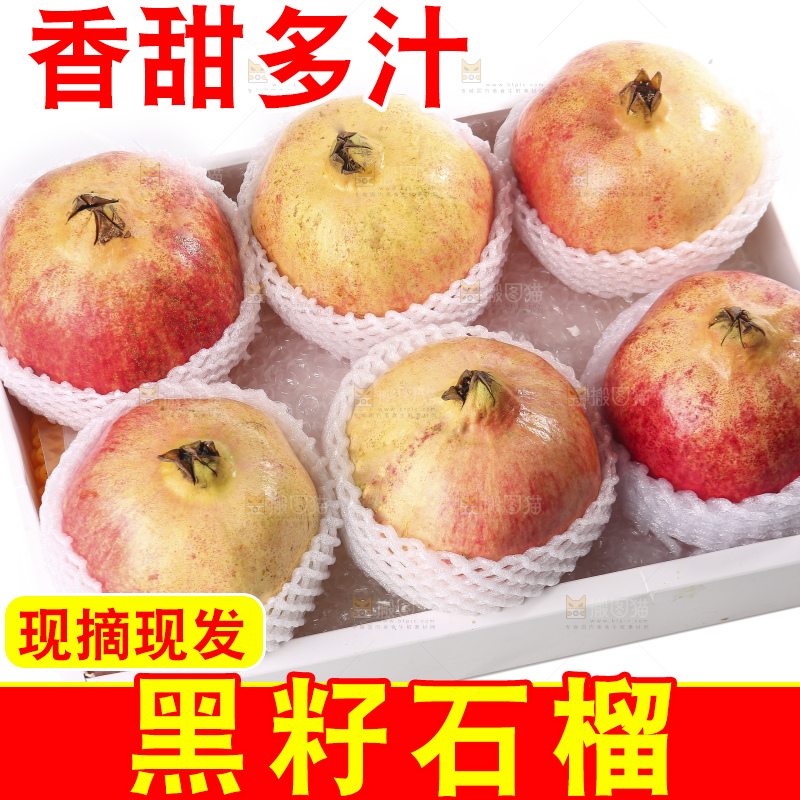 白底上的突尼斯软籽石榴