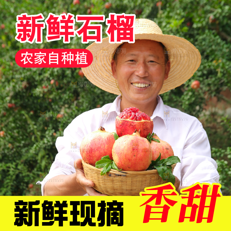 石榴产地