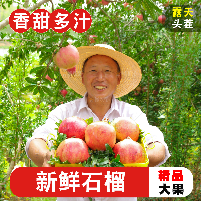 石榴产地