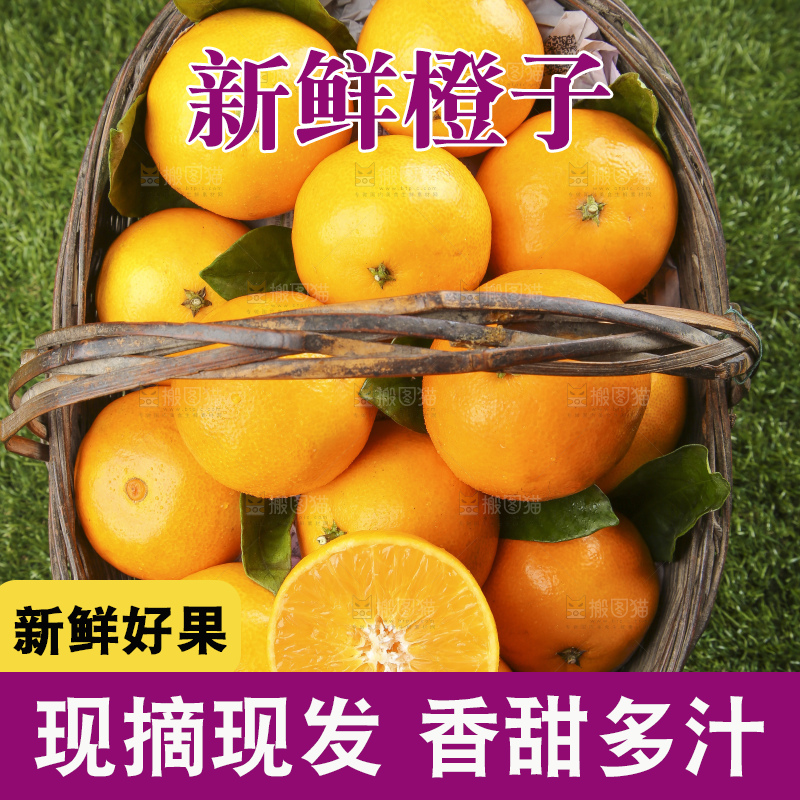 草地上的果冻橙