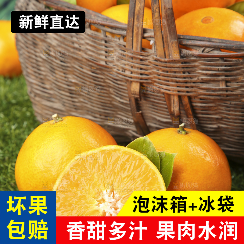 草地上的果冻橙