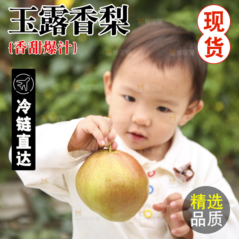 手里拿着玉露香梨