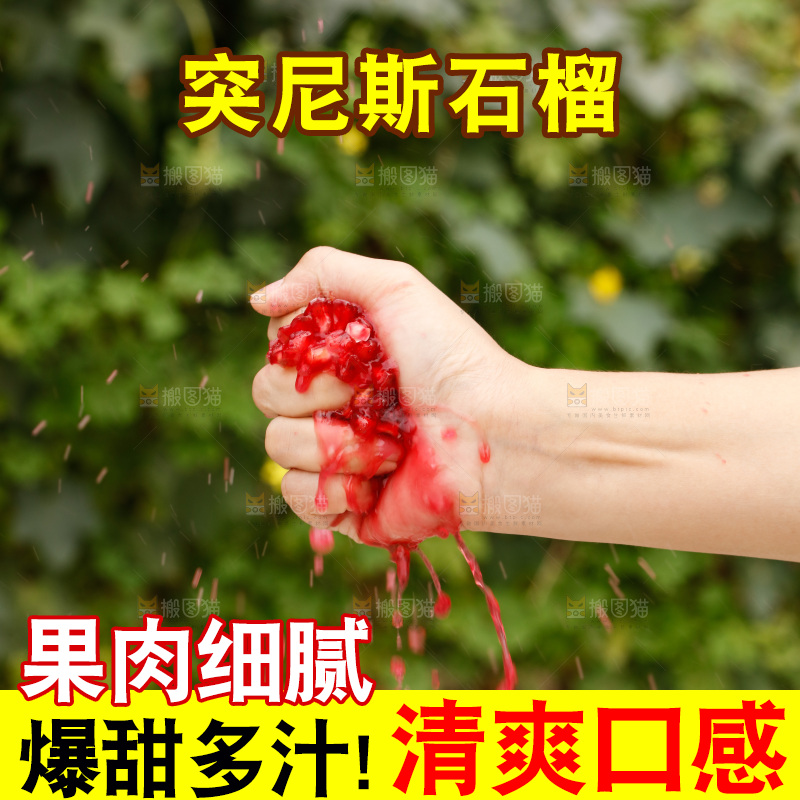 手里的突尼斯软籽石榴爆汁