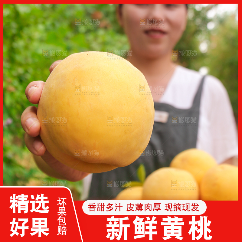 手里拿着炎陵黄桃