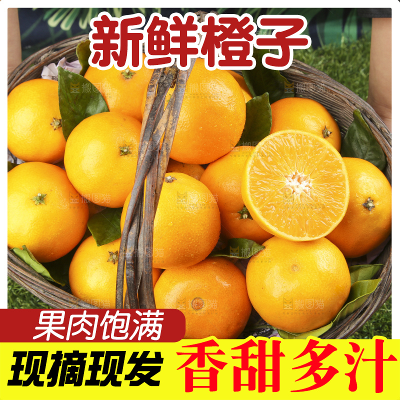 草地上的果冻橙