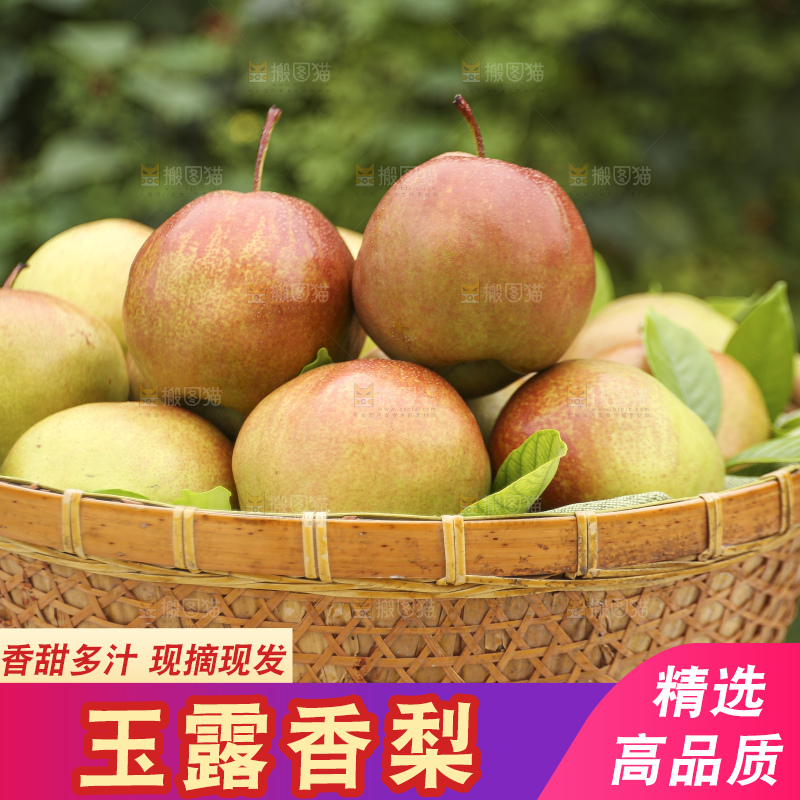 深底上的玉露香梨