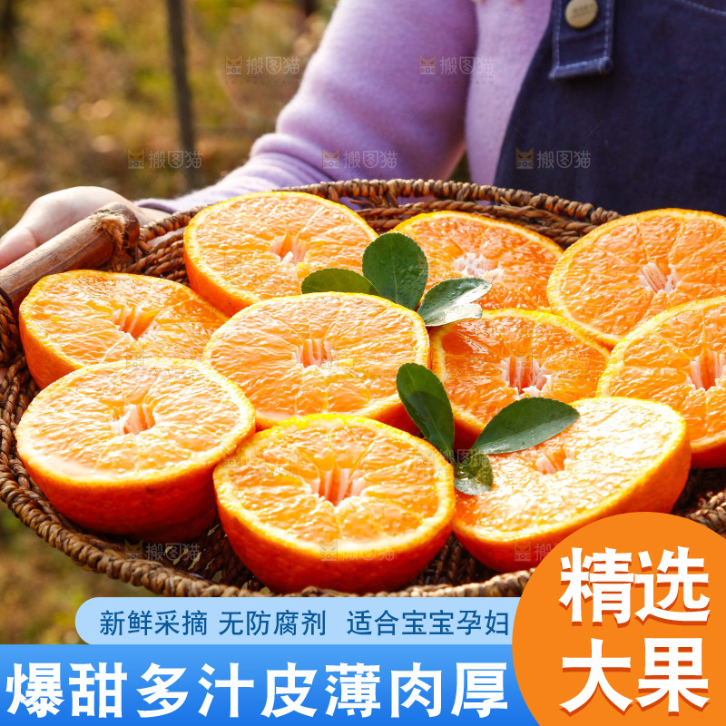 草地上的耙耙柑