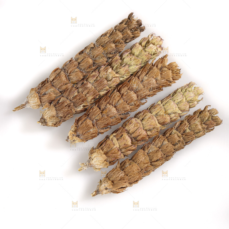 白底上放着夏枯草