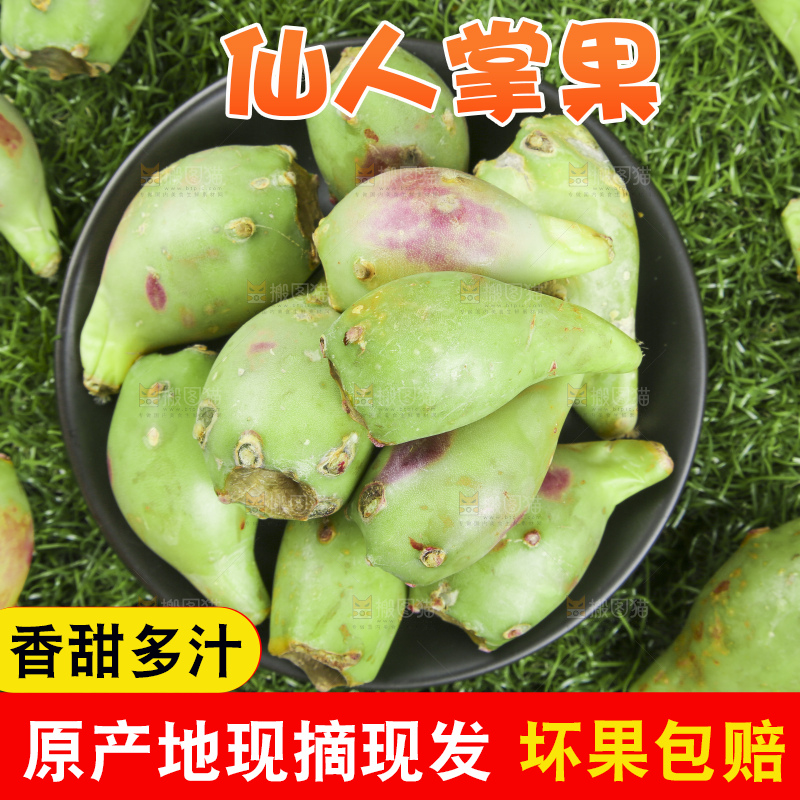 一盘仙人掌果放在草地上