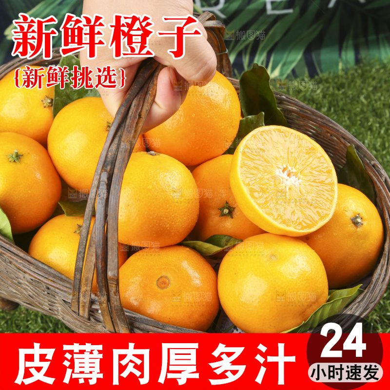 草地上的果冻橙