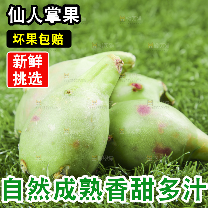 海南仙人掌果放在草地上