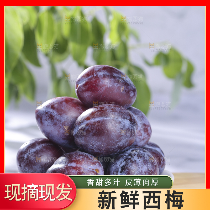 浅底上的西梅