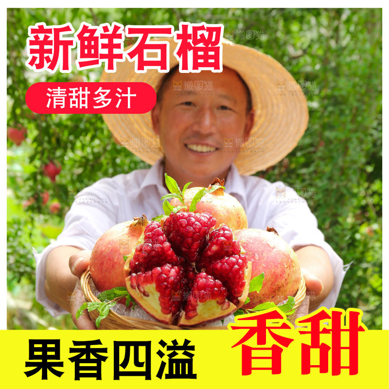 石榴产地