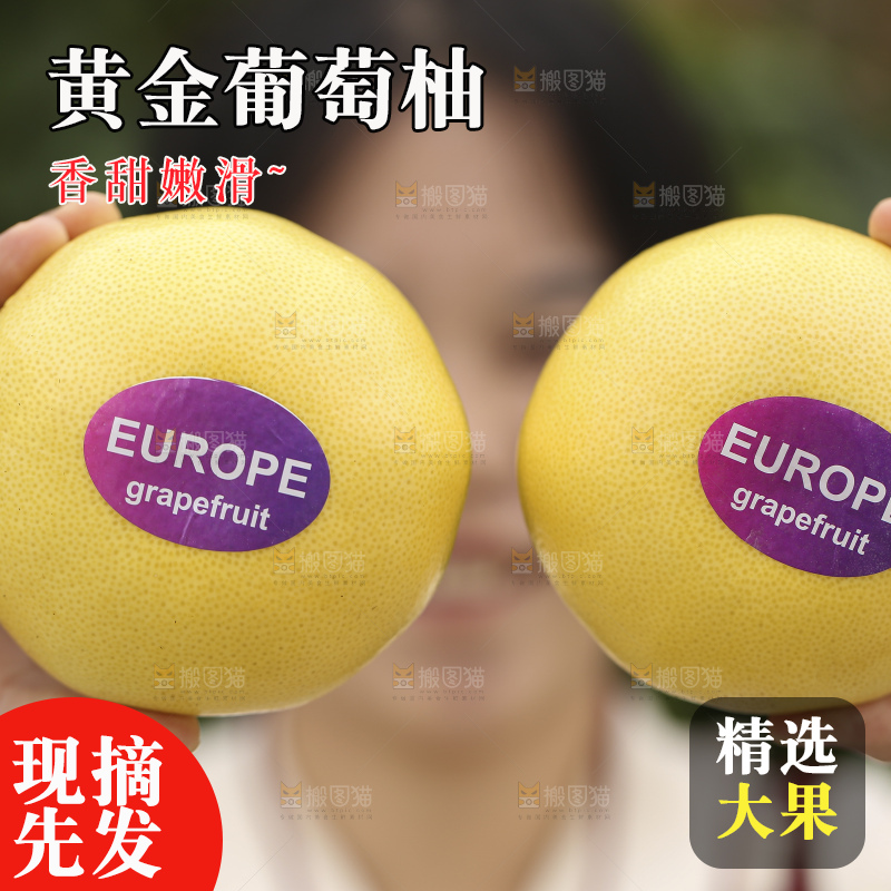 手里拿着黄金葡萄柚