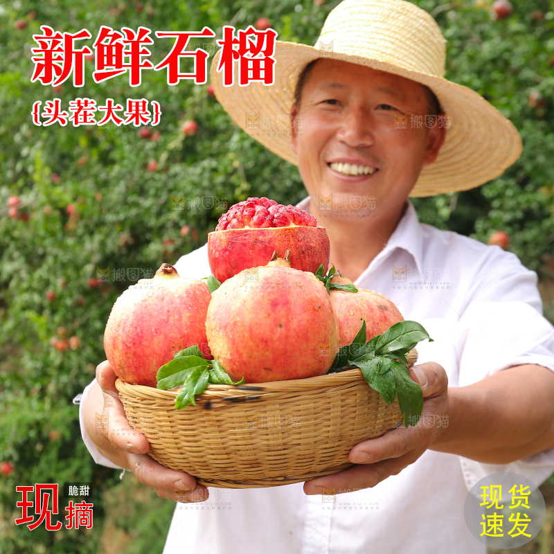 石榴产地