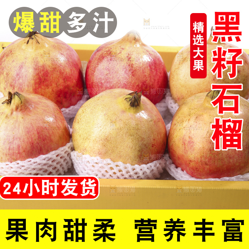 白底上的突尼斯软籽石榴