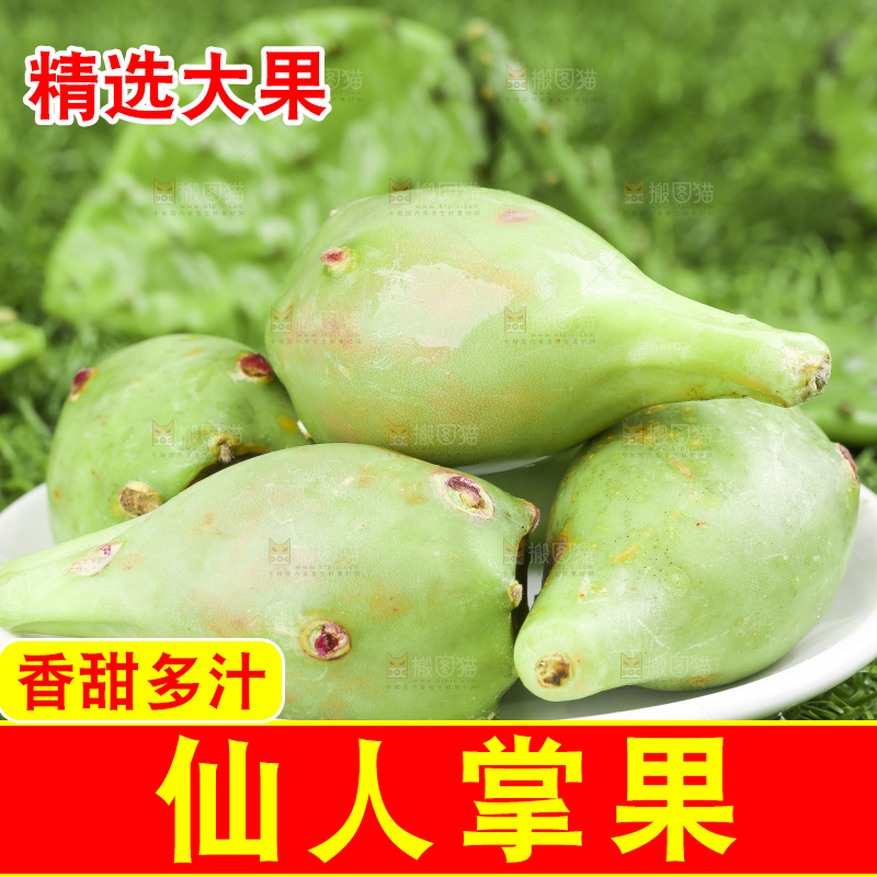 一盘红肉仙人掌果放在草地上