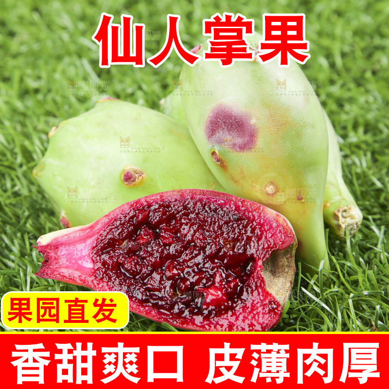 草地上放着切开的红肉仙人掌果