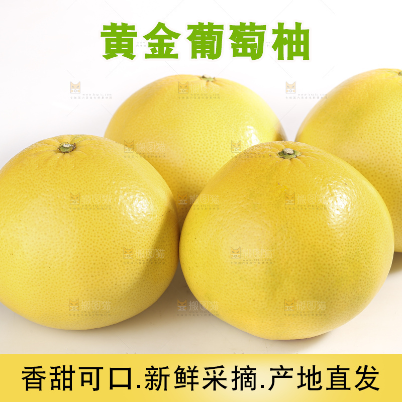 白底上的黄金葡萄柚