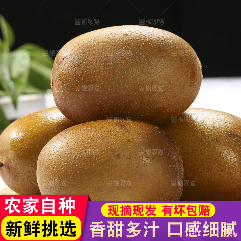深底上放着佳沛奇异果