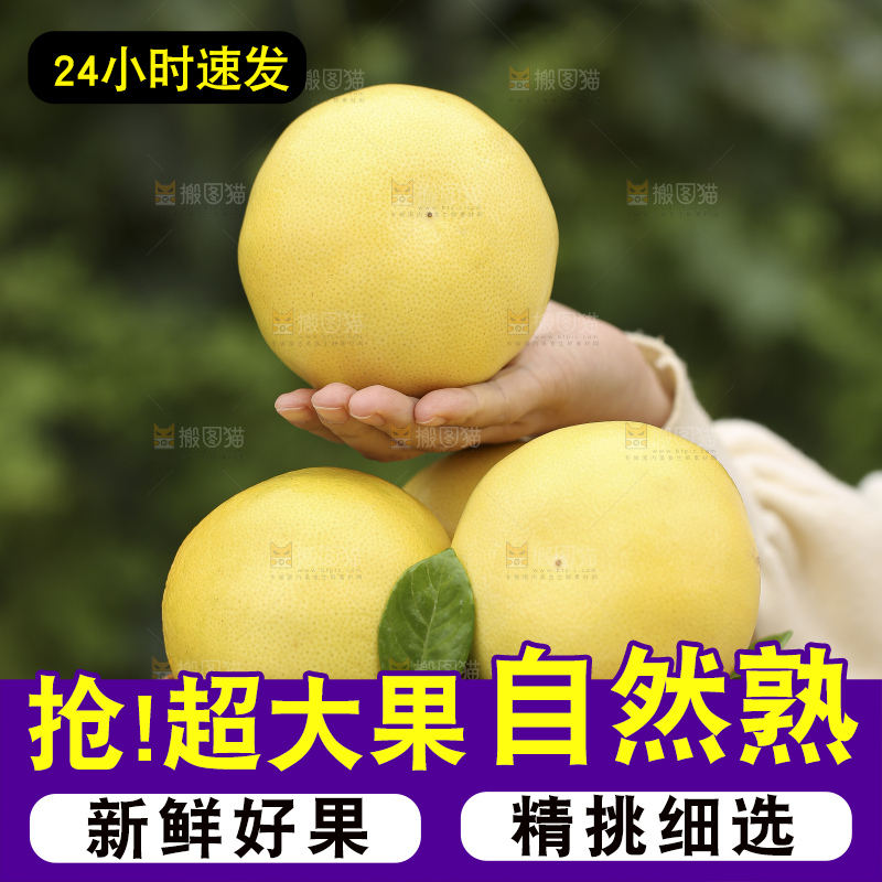 手里拿着黄金葡萄柚